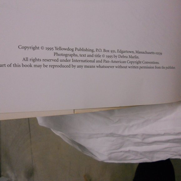 1ed Signed #d Yellow Dog book Martha's Vineyard - Picture 4 of 4